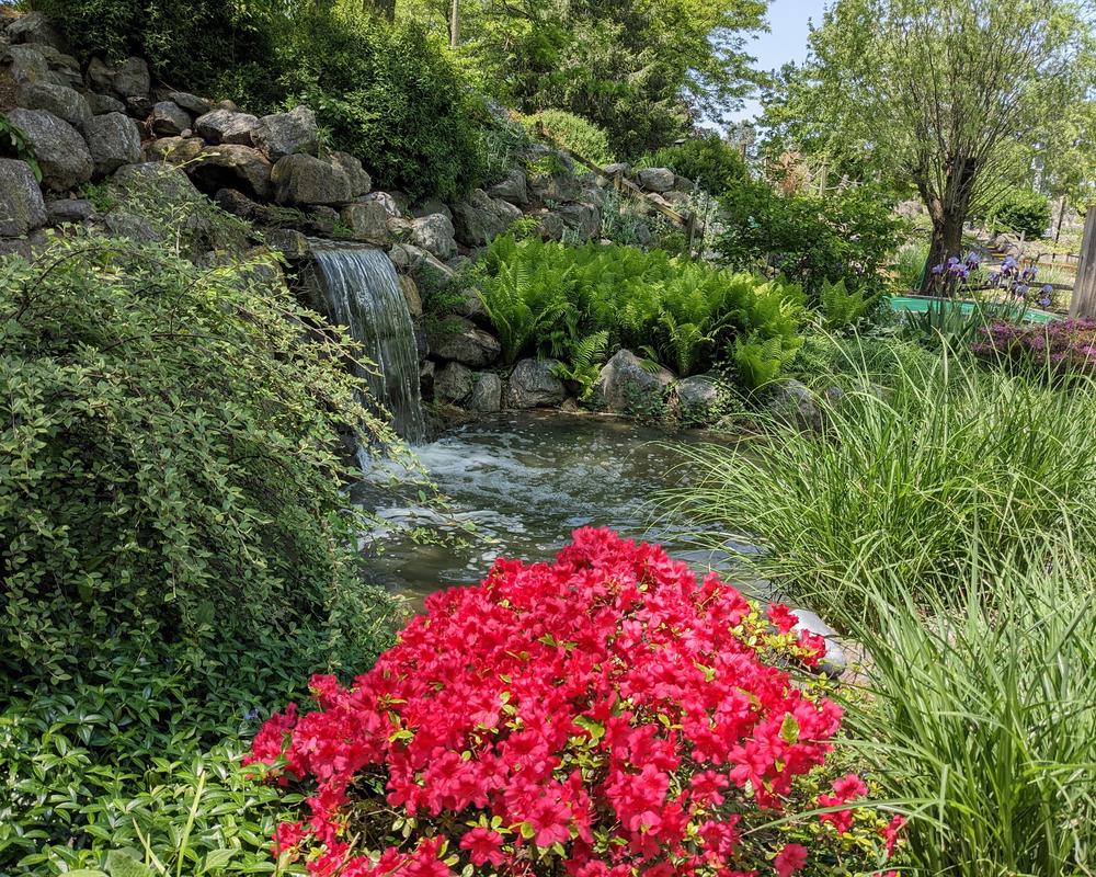 Spring color surrounds a waterfall near hole 9 of the Nature Course at Water's Edge Mini Golf.